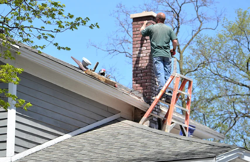 Chimney & Fireplace Inspections Services in Utica, NY